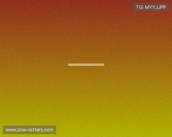 布雷切尔：从欧洲足球新星到国际赛场的崛起与未来展望